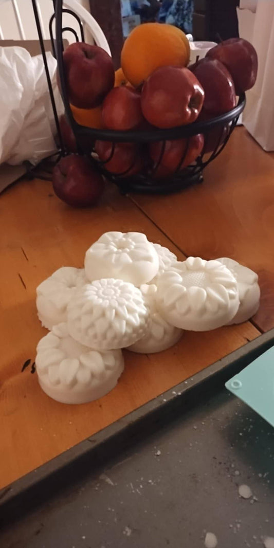 Shampoo Body Bars